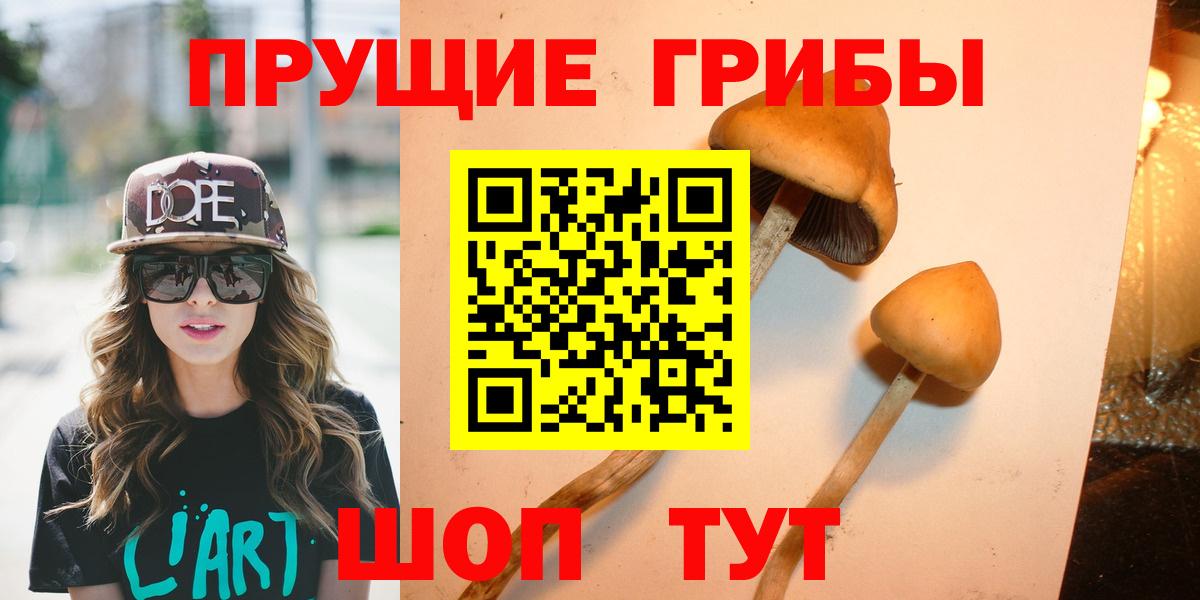 Псилоцибиновые грибы MAGIC MUSHROOMS Гатчина